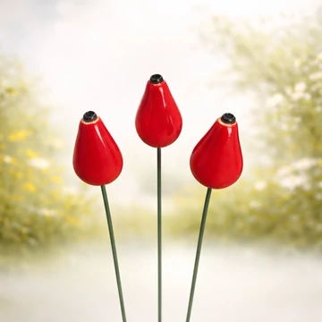 Csipkebogyó hegyes