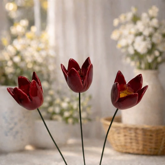 Tulipán 