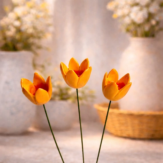 Tulipán 