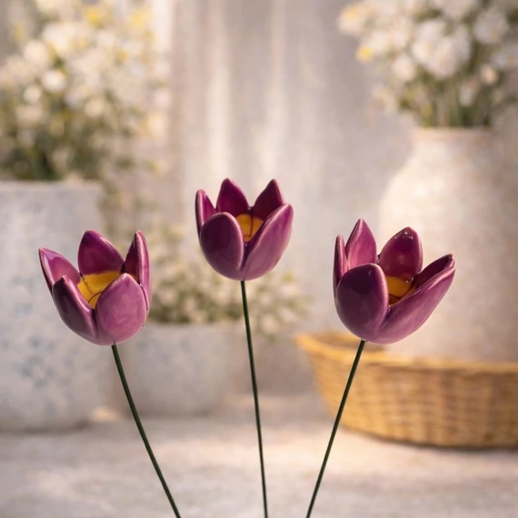 Tulipán 