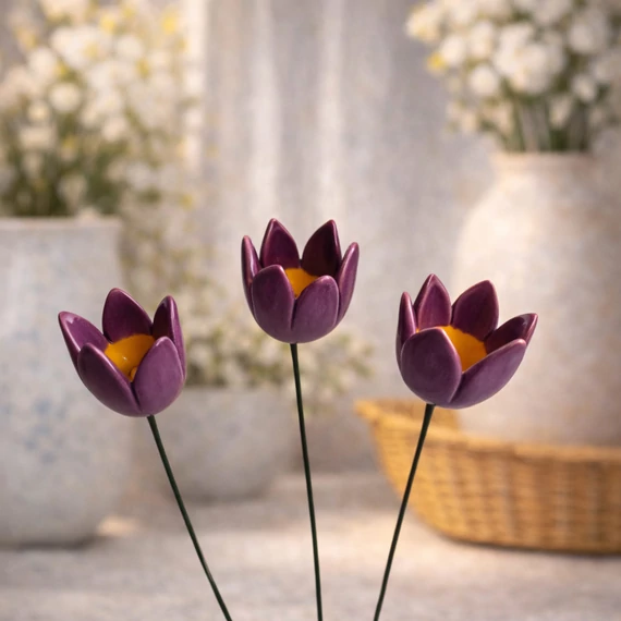 Tulipán 