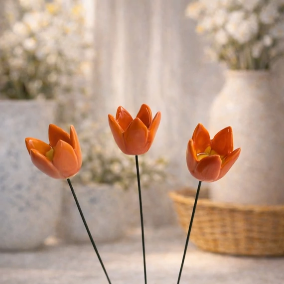 Tulipán 