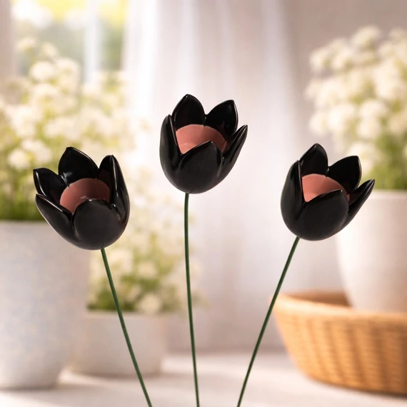 Tulipán 
