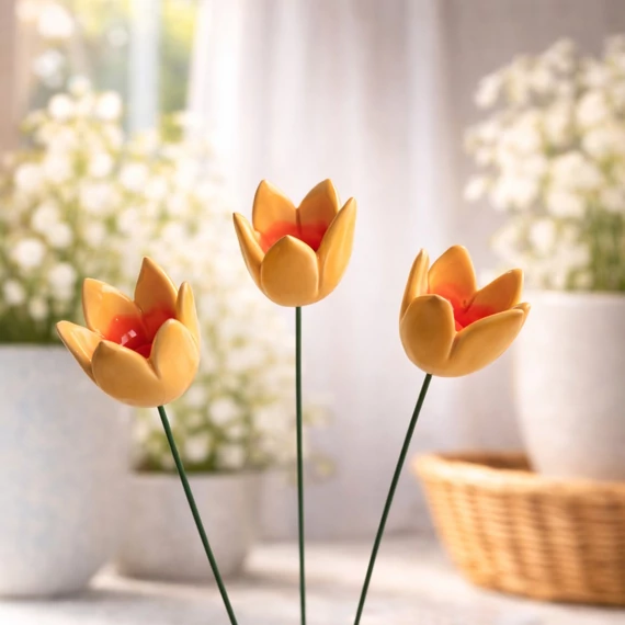 Tulipán 