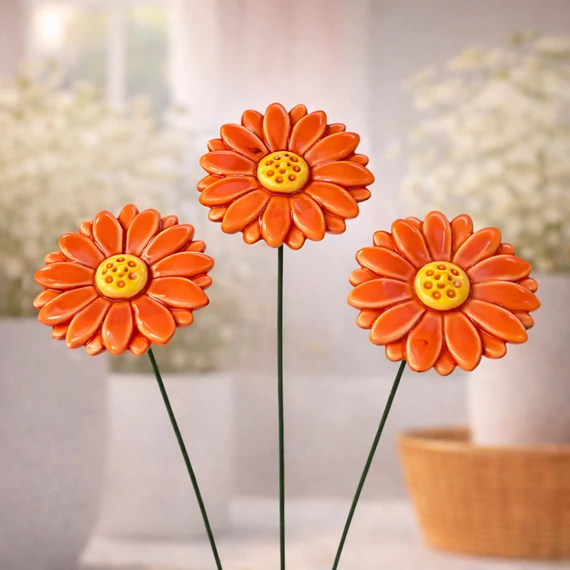 Közepes virágok Gerbera (Mini)