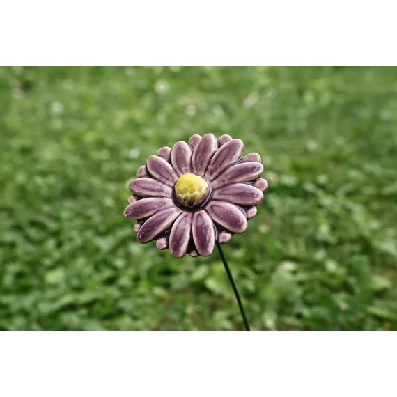 Közepes virágok Gerbera (Mini)