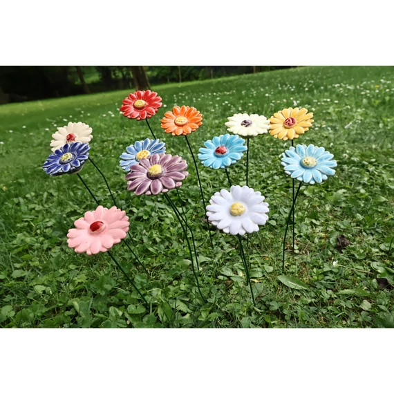 Gerbera (Mini)